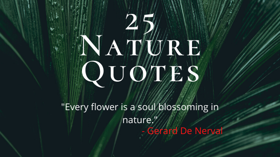 25 Best Nature Quotes
